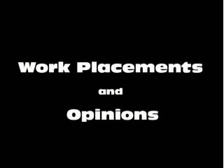 work experience and opinions