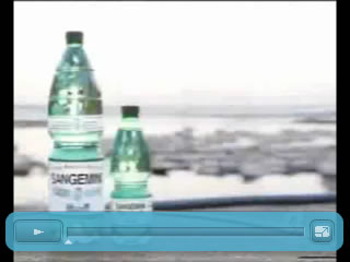Spot sangemini